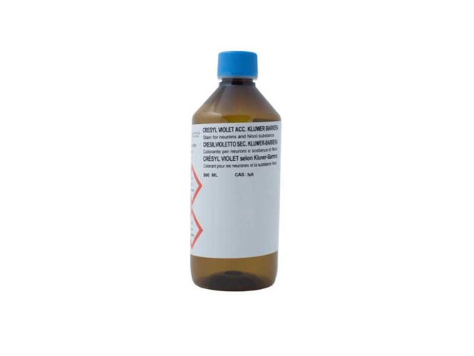 Cresilvioletto sec. Kluwer-Barrera colorante per neuroni e sostanza di Nissl 