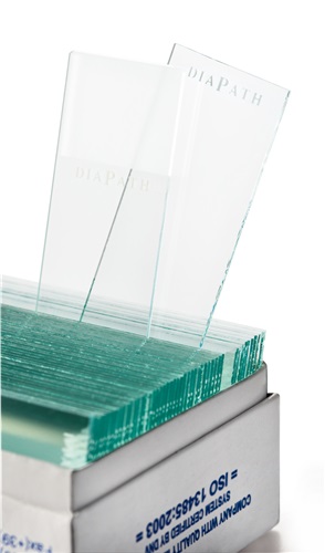 Microscope slides for handwriting identification