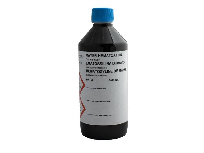 Mayer hematoxylin 