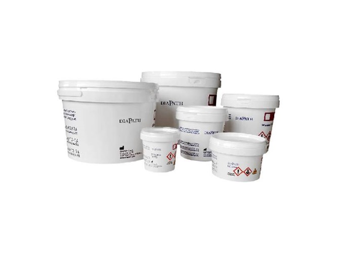 Serigraphied polypropylene container L, about 1lt, with white press-close lid, filling volume 600ml