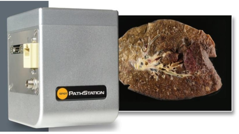 Grossing station camera